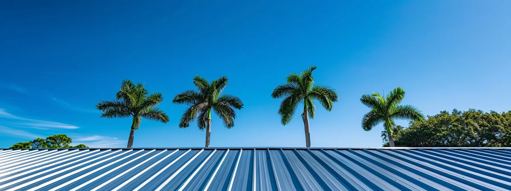 a shiny metal roof under a clear blue sky in florida, with palm trees swaying gently in the background.